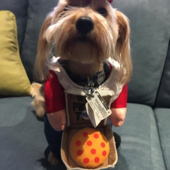 Meet your Posher, Michelle - Picture 14 of 16